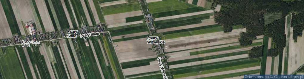 Zdjęcie satelitarne Psary Witowskie ul.